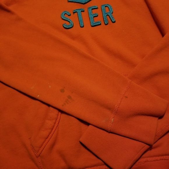 Hollister Hoodie *READ DESCRIPTION * - Picture 4 of 6